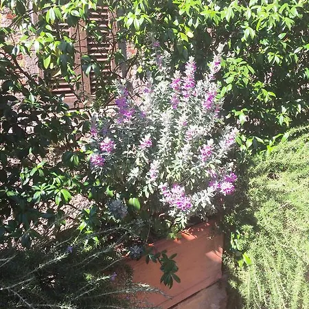 Penzion Le Antiche Mura 3*